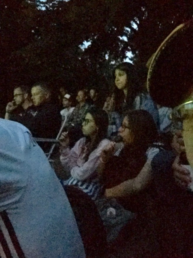 Wasserturm Park watching Germany Loe 7-7-2016 10-12-50 PM 960x1280